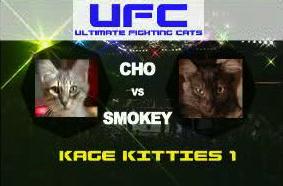 Ultimate Fighting Cats